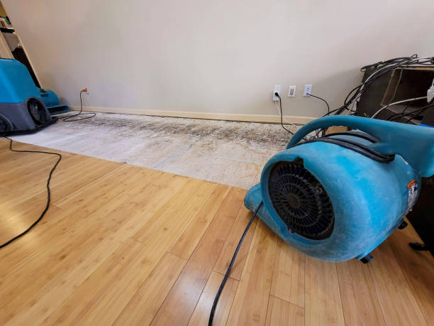 Reliable Basement Flood Cleanup contractor in Carrollton, VA by Hirex Water Damage