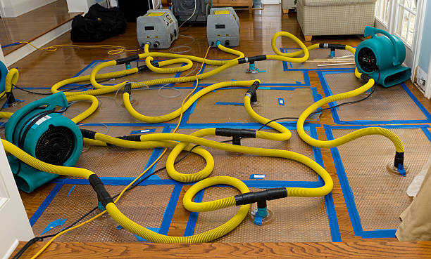 Professional Basement Flood Cleanup technician working in Carrollton, VA
